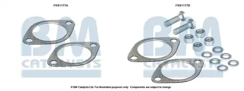  BM CATALYSTS FK91177