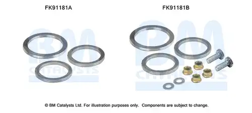  BM CATALYSTS FK91181