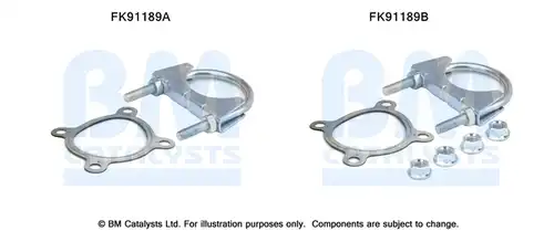  BM CATALYSTS FK91189