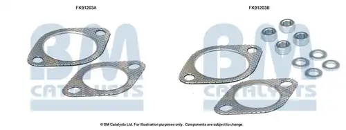  BM CATALYSTS FK91203