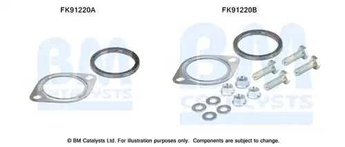  BM CATALYSTS FK91220