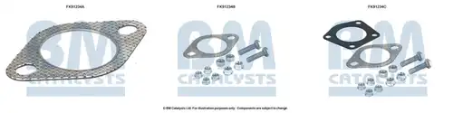  BM CATALYSTS FK91234