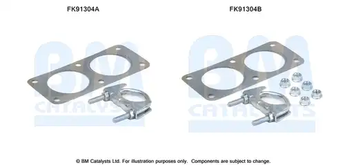  BM CATALYSTS FK91304