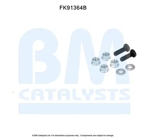  BM CATALYSTS FK91364