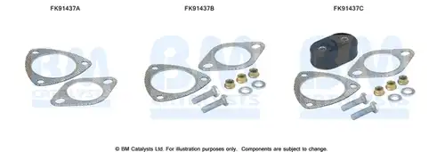  BM CATALYSTS FK91437