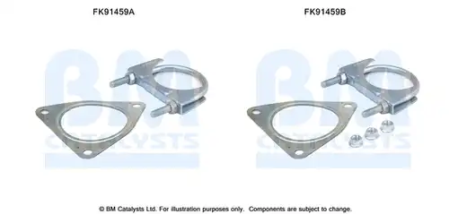  BM CATALYSTS FK91459