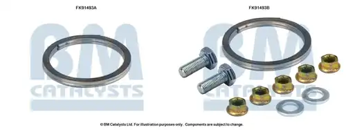  BM CATALYSTS FK91493