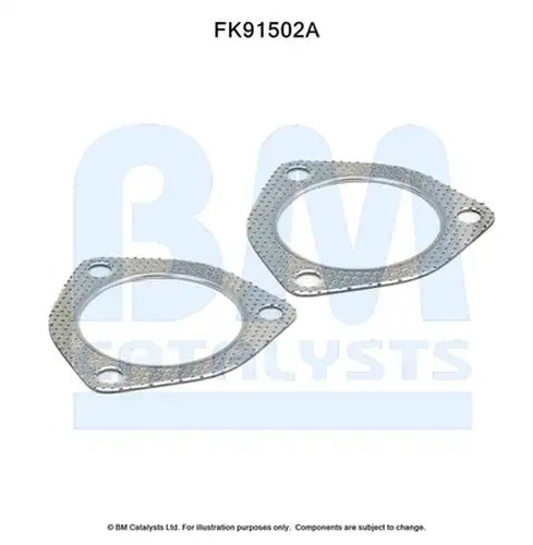  BM CATALYSTS FK91502