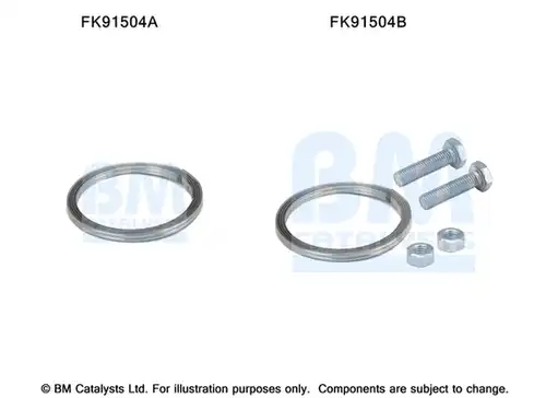  BM CATALYSTS FK91504