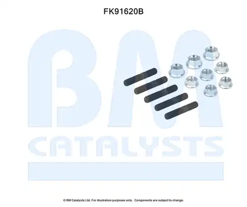  BM CATALYSTS FK91620