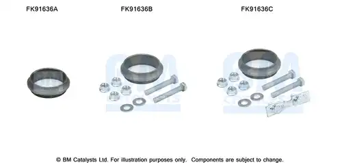  BM CATALYSTS FK91636