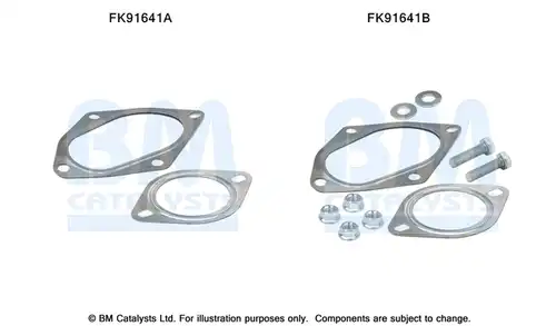  BM CATALYSTS FK91641