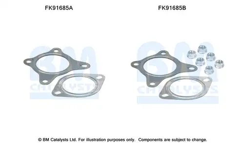  BM CATALYSTS FK91685