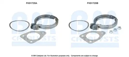  BM CATALYSTS FK91720