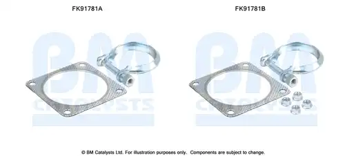  BM CATALYSTS FK91781