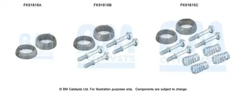  BM CATALYSTS FK91816