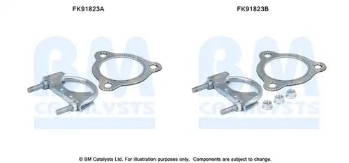  BM CATALYSTS FK91823