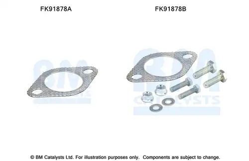  BM CATALYSTS FK91878