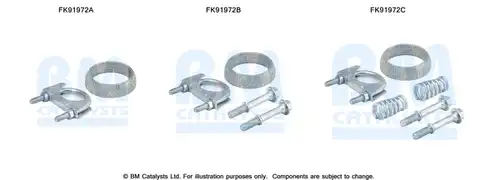  BM CATALYSTS FK91972