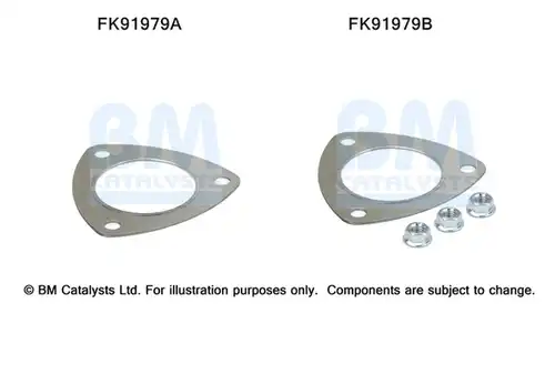  BM CATALYSTS FK91979