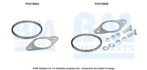  BM CATALYSTS FK91996