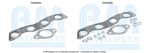  BM CATALYSTS FK92005