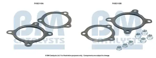  BM CATALYSTS FK92110