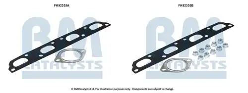  BM CATALYSTS FK92355