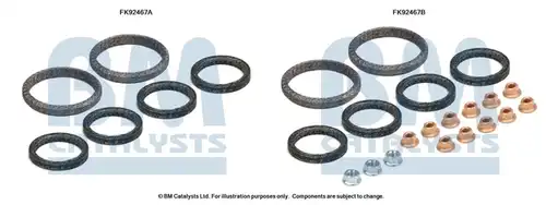  BM CATALYSTS FK92467