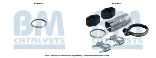  BM CATALYSTS FK92483