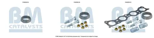  BM CATALYSTS FK92551