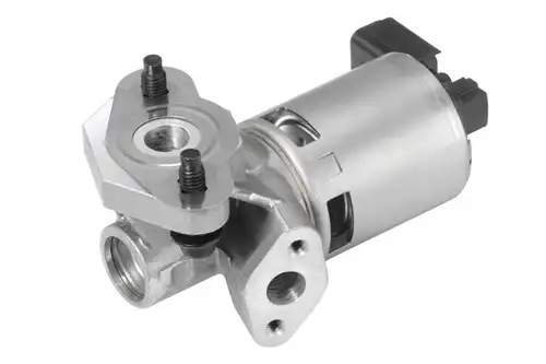 AGR-Клапан BorgWarner (Wahler) 710632D