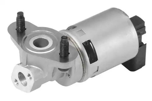 AGR-Клапан BorgWarner (Wahler) 710633D