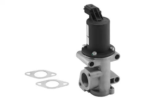 AGR-Клапан BorgWarner (Wahler) 710960R