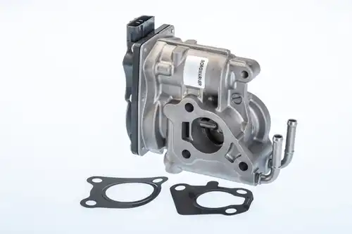 AGR-Клапан BorgWarner (Wahler) 710969R