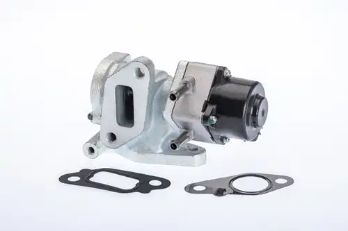 AGR-Клапан BorgWarner (Wahler) 710972R