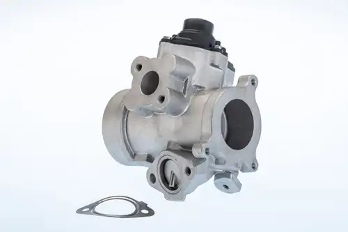 AGR-Клапан BorgWarner (Wahler) 710974R