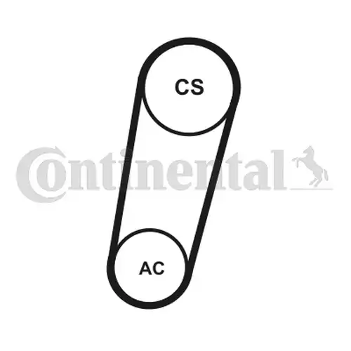 комплект пистов ремък CONTINENTAL CTAM 5PK705 ELAST T1