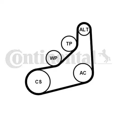 комплект пистов ремък CONTINENTAL CTAM 6PK1157 EXTRA K1