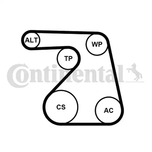 водна помпа + комплект пистови ремъци клиновидно оребряване CONTINENTAL CTAM 6PK1217WP1