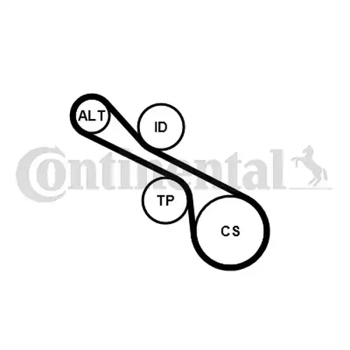 комплект пистов ремък CONTINENTAL CTAM 6PK1230K1