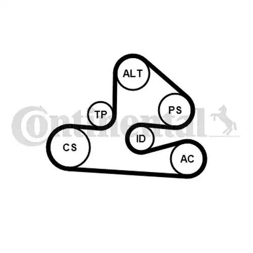 комплект пистов ремък CONTINENTAL CTAM 6PK1570K1