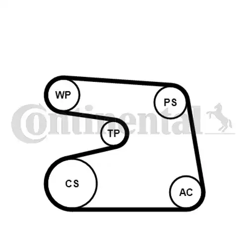 комплект пистов ремък CONTINENTAL CTAM 6PK1873K4