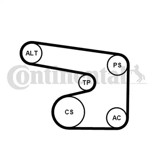 комплект пистов ремък CONTINENTAL CTAM 6PK1900K1