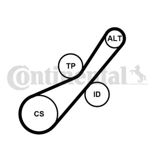 комплект пистов ремък CONTINENTAL CTAM 6PK800K2