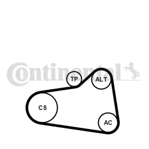 комплект пистов ремък CONTINENTAL CTAM 6PK905 EXTRA K1