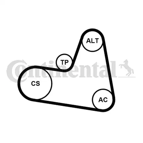 комплект пистов ремък CONTINENTAL CTAM 6PK962K1