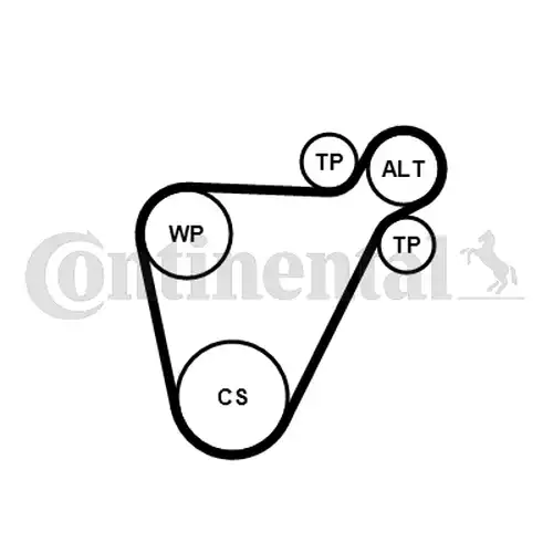 комплект пистов ремък CONTINENTAL CTAM 8PK954 EXTRA K1