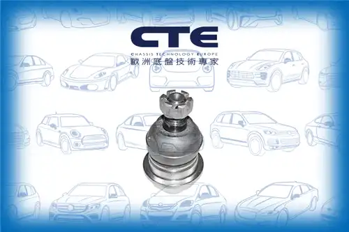 Шарнири CTE CBJ05003