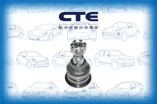 Шарнири CTE CBJ06008